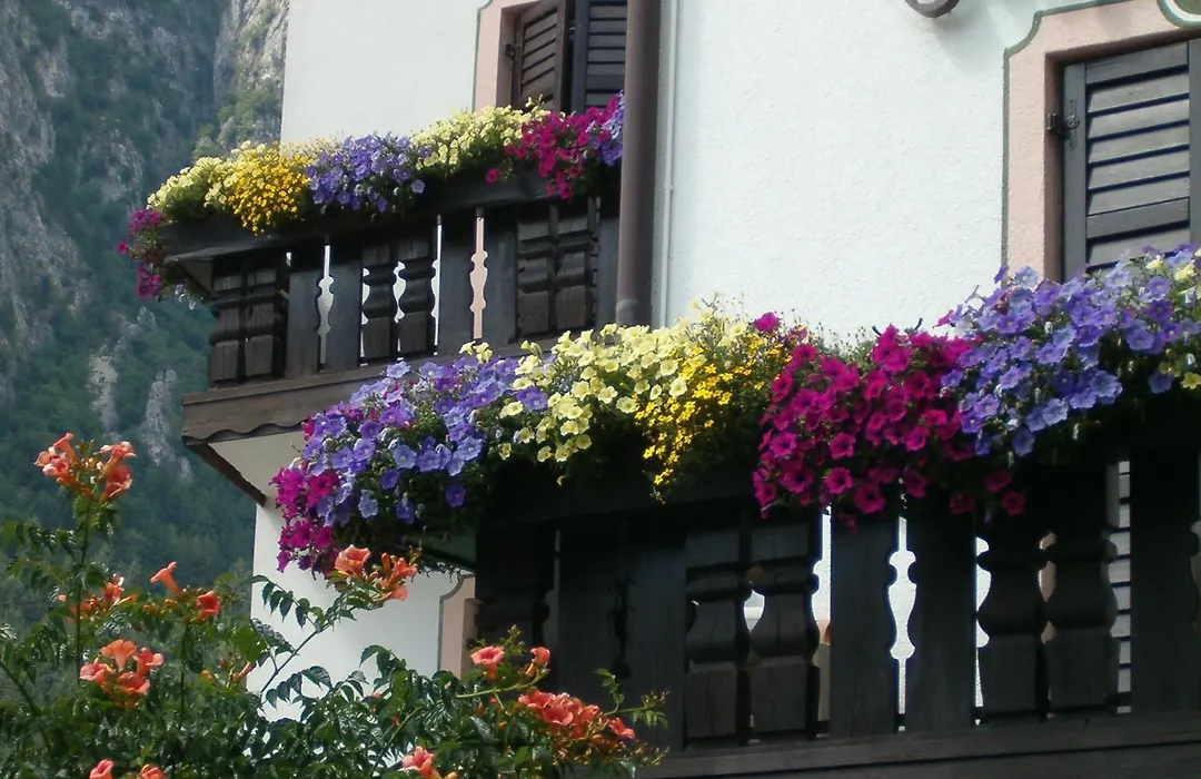 Hotel Stella Alpina-1