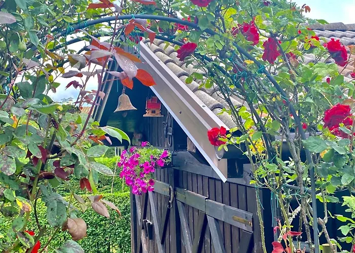 Hotel vicino al College: Casa Pallanch